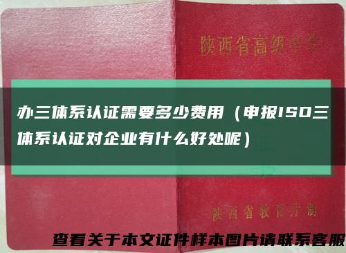 办三体系认证需要多少费用（申报ISO三体系认证对企业有什么好处呢）缩略图