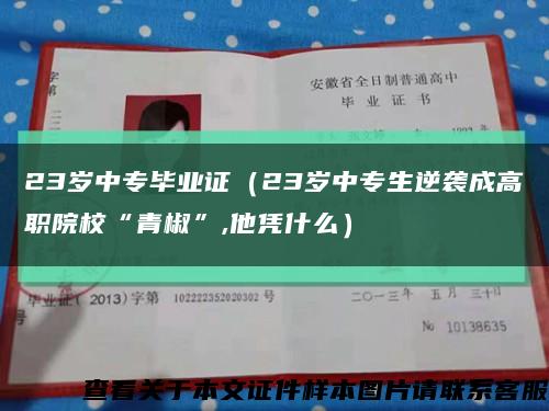 23岁中专毕业证（23岁中专生逆袭成高职院校“青椒”,他凭什么）缩略图