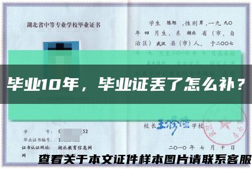 毕业10年，毕业证丢了怎么补？缩略图