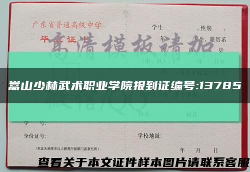 嵩山少林武术职业学院报到证编号:13785缩略图