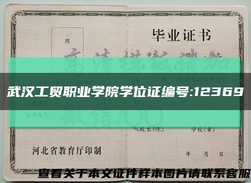 武汉工贸职业学院学位证编号:12369缩略图