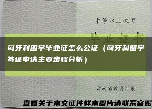 匈牙利留学毕业证怎么公证（匈牙利留学签证申请主要步骤分析）缩略图