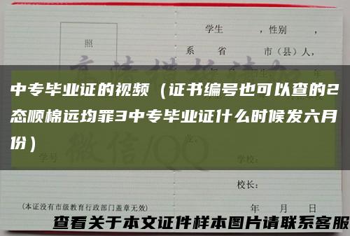 中专毕业证的视频（证书编号也可以查的2态顺棉远均罪3中专毕业证什么时候发六月份）缩略图