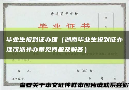 毕业生报到证办理（湖南毕业生报到证办理改派补办常见问题及解答）缩略图