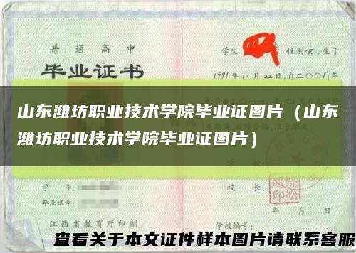 山东潍坊职业技术学院毕业证图片（山东潍坊职业技术学院毕业证图片）缩略图