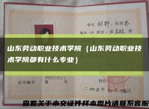 山东劳动职业技术学院（山东劳动职业技术学院都有什么专业）缩略图