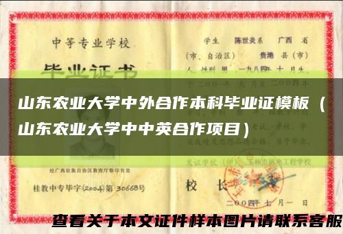 山东农业大学中外合作本科毕业证模板（山东农业大学中中英合作项目）缩略图