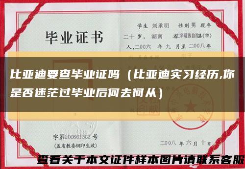 比亚迪要查毕业证吗（比亚迪实习经历,你是否迷茫过毕业后何去何从）缩略图