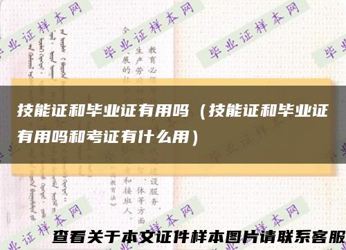 技能证和毕业证有用吗（技能证和毕业证有用吗和考证有什么用）缩略图