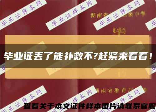 毕业证丢了能补救不?赶紧来看看！缩略图