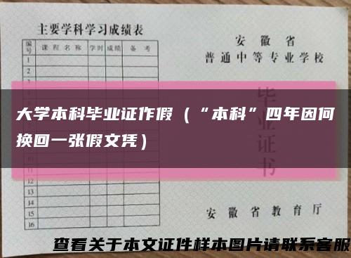 大学本科毕业证作假（“本科”四年因何换回一张假文凭）缩略图