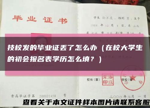 技校发的毕业证丢了怎么办（在校大学生的初会报名表学历怎么填？）缩略图