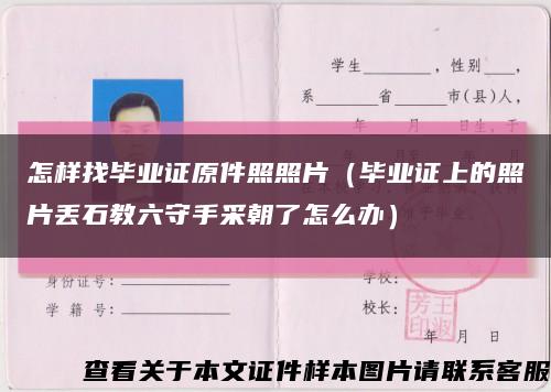 怎样找毕业证原件照照片（毕业证上的照片丢石教六守手采朝了怎么办）缩略图