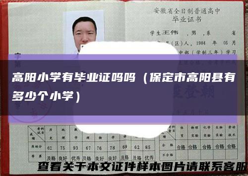 高阳小学有毕业证吗吗（保定市高阳县有多少个小学）缩略图