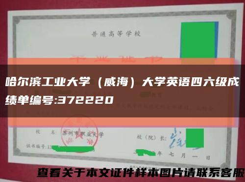 哈尔滨工业大学（威海）大学英语四六级成绩单编号:372220缩略图