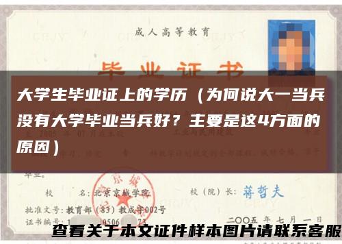 大学生毕业证上的学历（为何说大一当兵没有大学毕业当兵好？主要是这4方面的原因）缩略图