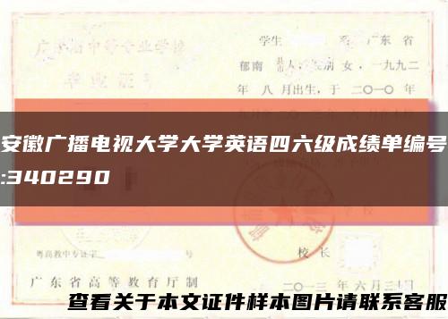 安徽广播电视大学大学英语四六级成绩单编号:340290缩略图