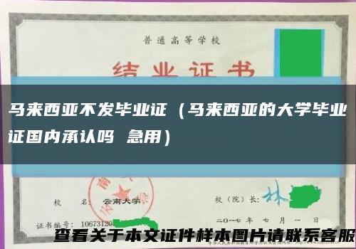 马来西亚不发毕业证（马来西亚的大学毕业证国内承认吗 急用）缩略图