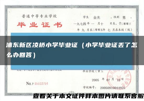 浦东新区凌桥小学毕业证（小学毕业证丢了怎么办回答）缩略图