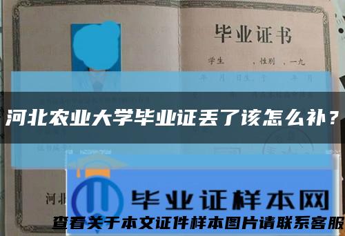 河北农业大学毕业证丢了该怎么补？缩略图