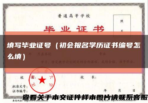 填写毕业证号（初会报名学历证书编号怎么填）缩略图
