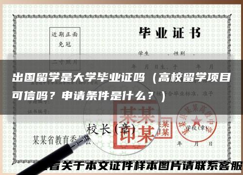 出国留学是大学毕业证吗（高校留学项目可信吗？申请条件是什么？）缩略图