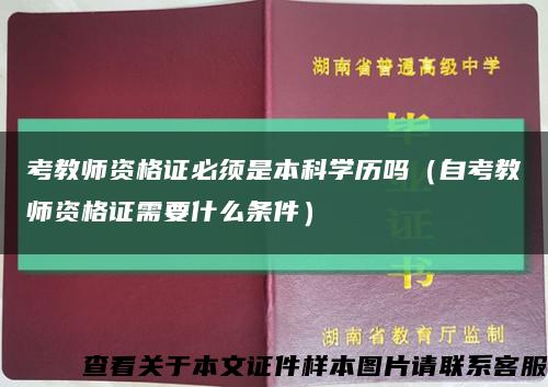 考教师资格证必须是本科学历吗（自考教师资格证需要什么条件）缩略图