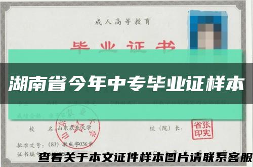 湖南省今年中专毕业证样本缩略图