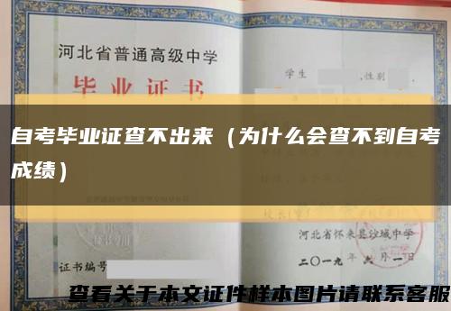 自考毕业证查不出来（为什么会查不到自考成绩）缩略图