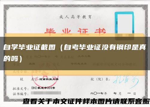 自学毕业证截图（自考毕业证没有钢印是真的吗）缩略图