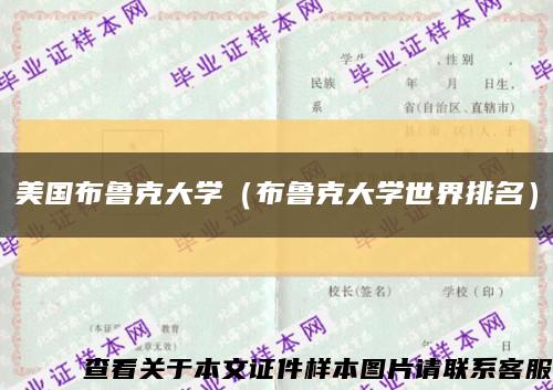 美国布鲁克大学（布鲁克大学世界排名）缩略图