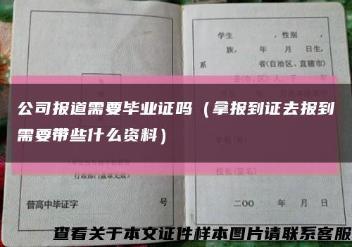 公司报道需要毕业证吗（拿报到证去报到需要带些什么资料）缩略图