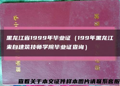 黑龙江省1999年毕业证（199年黑龙江来自建筑技师学院毕业证查询）缩略图