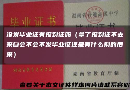 没发毕业证有报到证吗（拿了报到证不去来自会不会不发毕业证还是有什么别的后果）缩略图