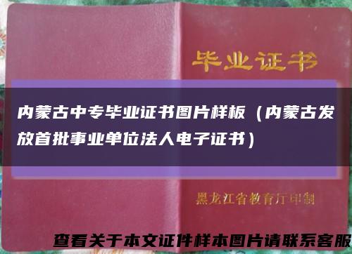 内蒙古中专毕业证书图片样板（内蒙古发放首批事业单位法人电子证书）缩略图