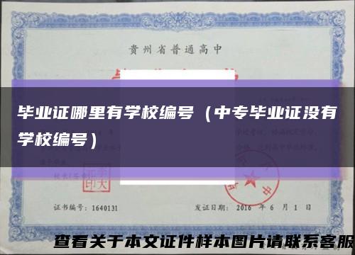 毕业证哪里有学校编号（中专毕业证没有学校编号）缩略图