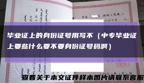 毕业证上的身份证号用写不（中专毕业证上要些什么要不要身份证号码啊）缩略图