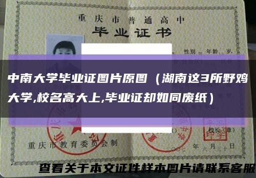 中南大学毕业证图片原图（湖南这3所野鸡大学,校名高大上,毕业证却如同废纸）缩略图