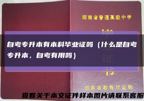 自考专升本有本科毕业证吗（什么是自考专升本，自考有用吗）缩略图