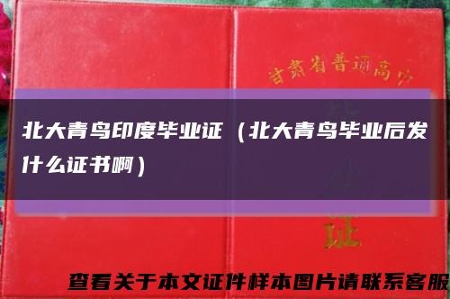 北大青鸟印度毕业证（北大青鸟毕业后发什么证书啊）缩略图