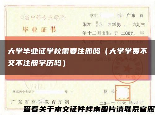 大学毕业证学校需要注册吗（大学学费不交不注册学历吗）缩略图