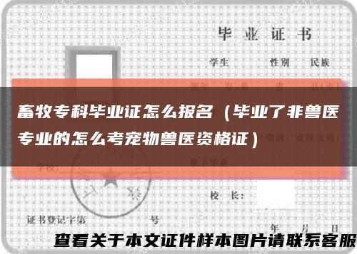 畜牧专科毕业证怎么报名（毕业了非兽医专业的怎么考宠物兽医资格证）缩略图