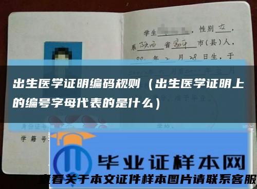 出生医学证明编码规则（出生医学证明上的编号字母代表的是什么）缩略图