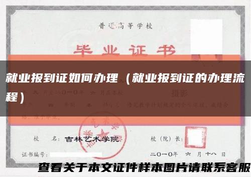 就业报到证如何办理（就业报到证的办理流程）缩略图