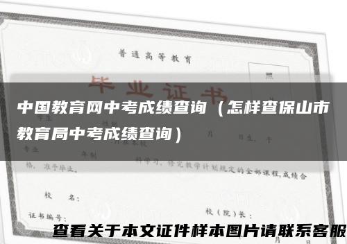 中国教育网中考成绩查询（怎样查保山市教育局中考成绩查询）缩略图