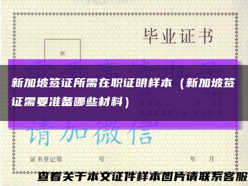 新加坡签证所需在职证明样本（新加坡签证需要准备哪些材料）缩略图