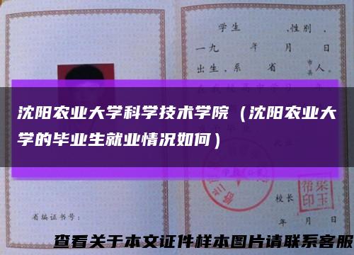 沈阳农业大学科学技术学院（沈阳农业大学的毕业生就业情况如何）缩略图