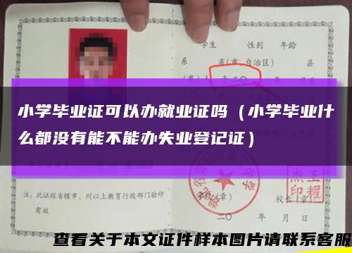 小学毕业证可以办就业证吗（小学毕业什么都没有能不能办失业登记证）缩略图