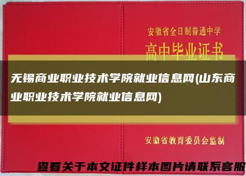 无锡商业职业技术学院就业信息网(山东商业职业技术学院就业信息网)缩略图