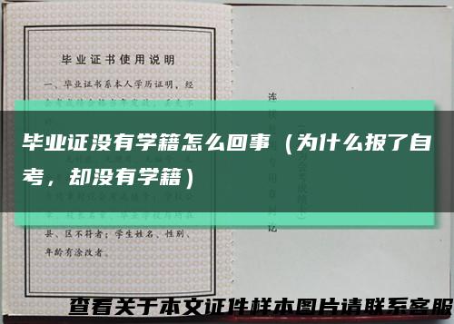 毕业证没有学籍怎么回事（为什么报了自考，却没有学籍）缩略图